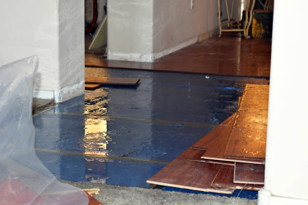 Professional Burst Pipe Cleanup technician working in Purvis, MS